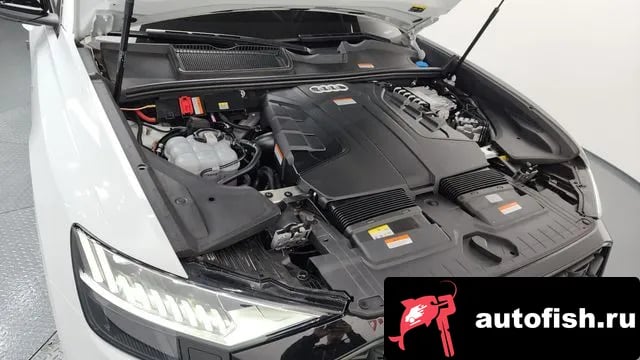 Audi Q8 Q8 (4M) 2023 года - вид 6