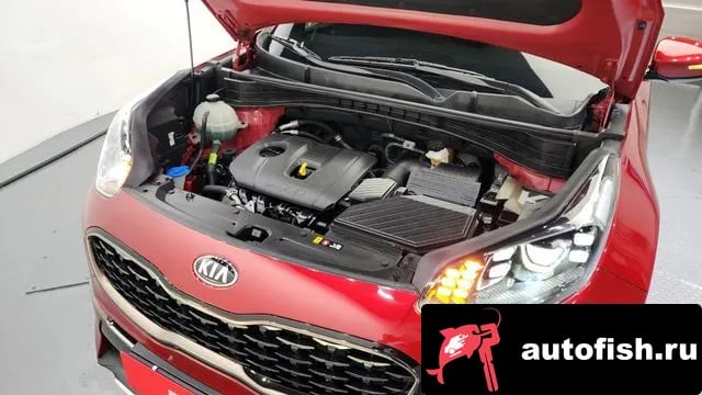 Kia Sportage Sportage The Bold 2018 года - вид 6