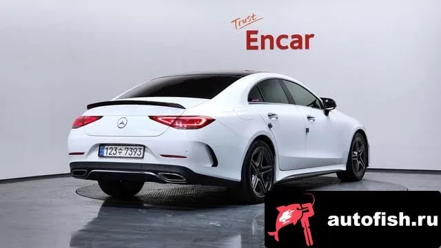 Mercedes-Benz CLS-Class CLS-Class C257 2019 года - похожие автомобили