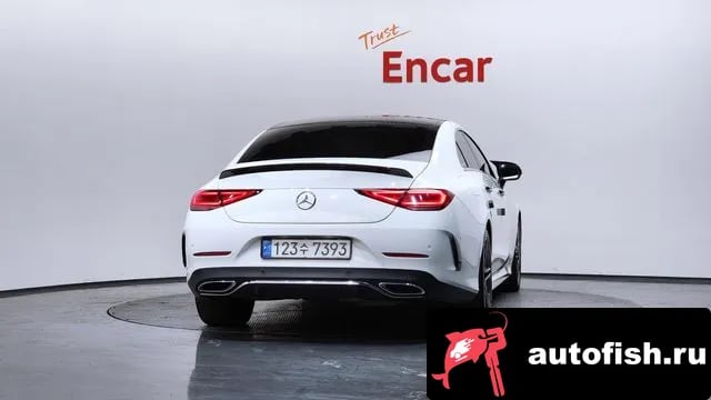 Mercedes-Benz CLS-Class CLS-Class C257 2019 года - вид 4