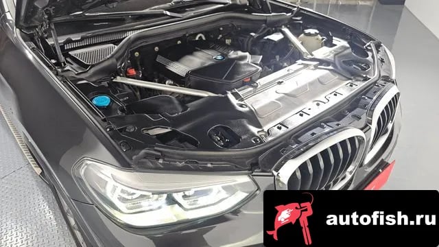 BMW X4 X4 (G02) 2019 года - вид 6