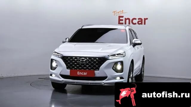 Hyundai Santafe San Tafe TM 2019 года - вид 3