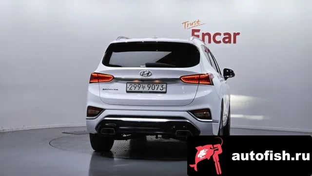 Hyundai Santafe San Tafe TM 2019 года - вид 4
