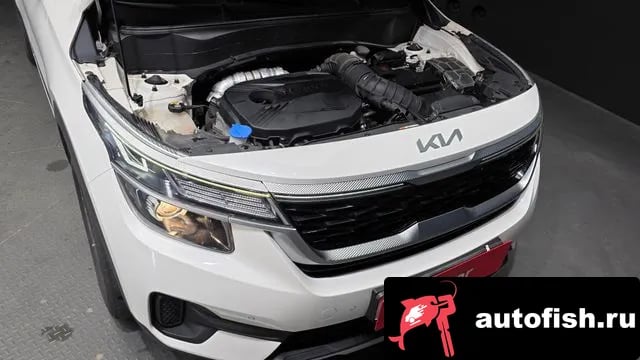 Kia Seltos Celtos 2021 года - вид 6