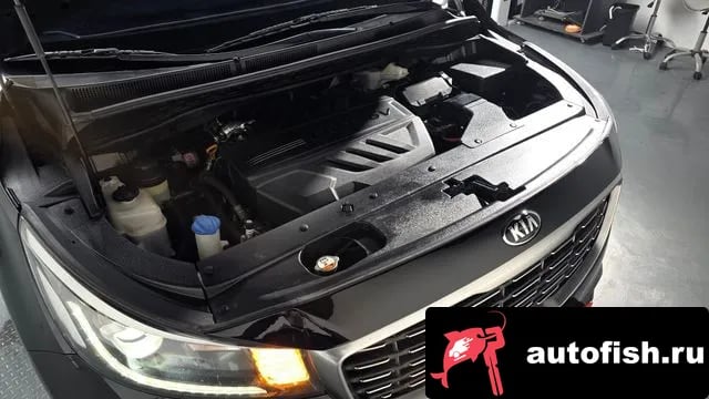 Kia Carnival The New Carnival 2018 года - вид 6