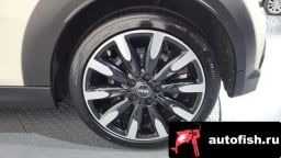 Миниатюра 5