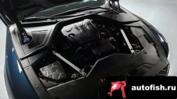 Миниатюра 6