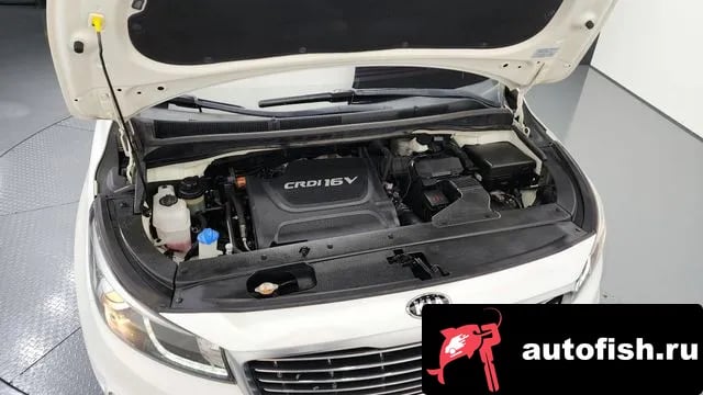 Kia Carnival All New Carnival 2018 года - вид 6