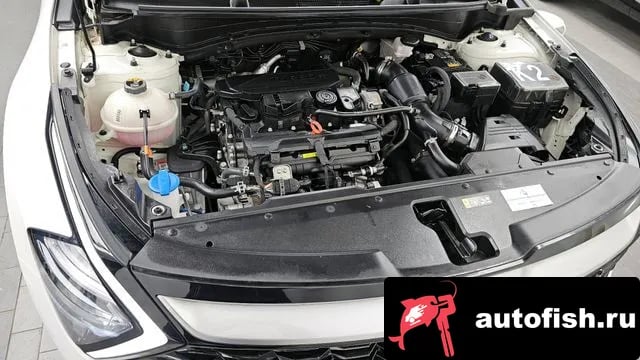 Kia Sportage Sportage 5th Generation 2024 года - вид 6