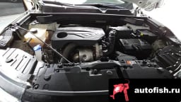 Миниатюра 6