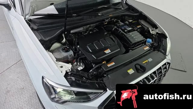 Audi Q3 Q3 (F3) 2022 года - вид 6