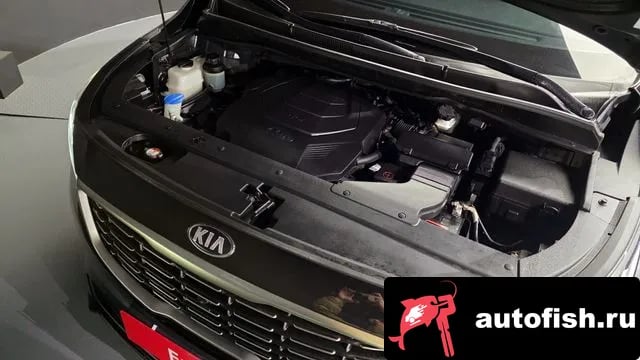 Kia Carnival The New Carnival 2019 года - вид 6