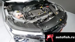 Миниатюра 6