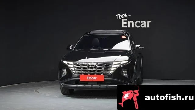 Hyundai Tucson Tucson (NX4) 2023 года - вид 3