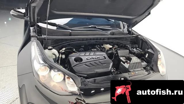 Kia Sportage Sportage The Bold 2020 года - похожие автомобили