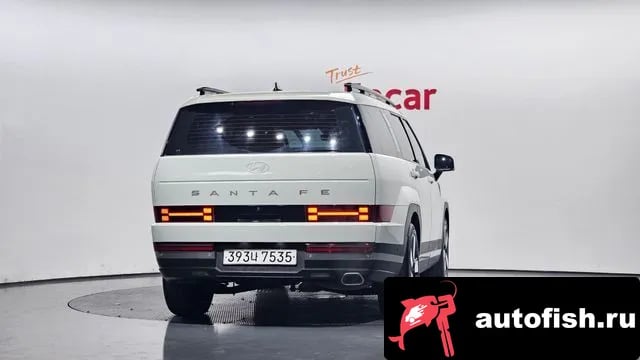 Hyundai Santafe San Tafe (MX5) 2024 года - вид 4