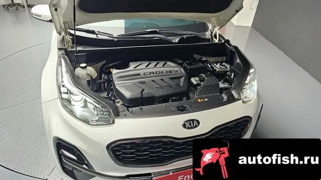 Kia Sportage Sportage The Bold 2018 года - вид 6