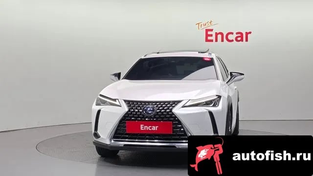 Lexus UX UX250h 2021 года - вид 3