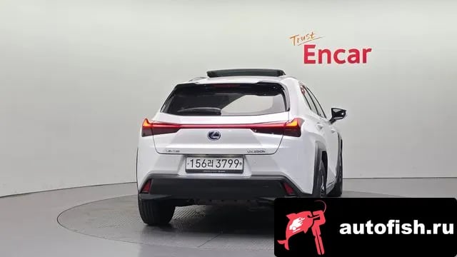 Lexus UX UX250h 2021 года - вид 4