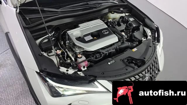 Lexus UX UX250h 2021 года - вид 6