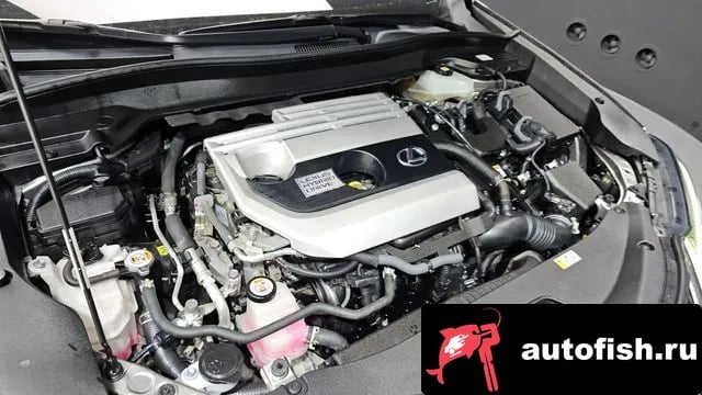 Lexus UX UX250h 2021 года - вид 6