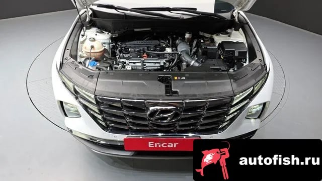 Hyundai Tucson Tucson (NX4) 2022 года - вид 6