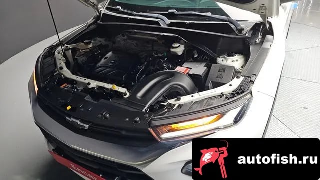 Chevrolet (GM Daewoo) Trailblazer Trailblazer 2020 года - вид 6