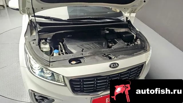 Kia Carnival The New Carnival 2019 года - вид 6