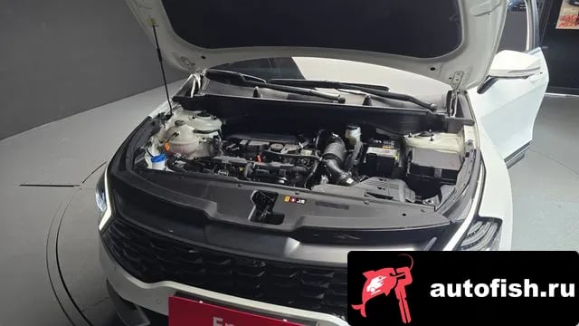 Kia Sportage Sportage 5th Generation 2024 года - вид 6