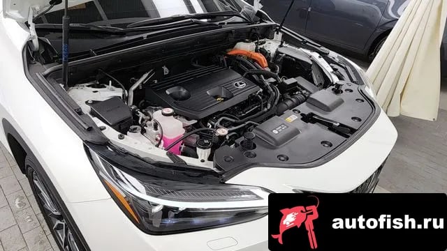 Lexus NX NX350h Second generation 2024 года - вид 6