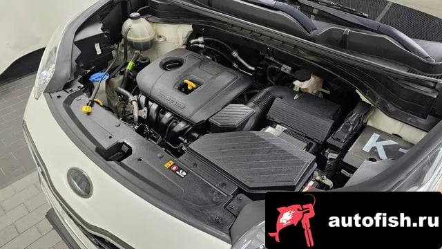 Kia Sportage Sportage The Bold 2019 года - похожие автомобили