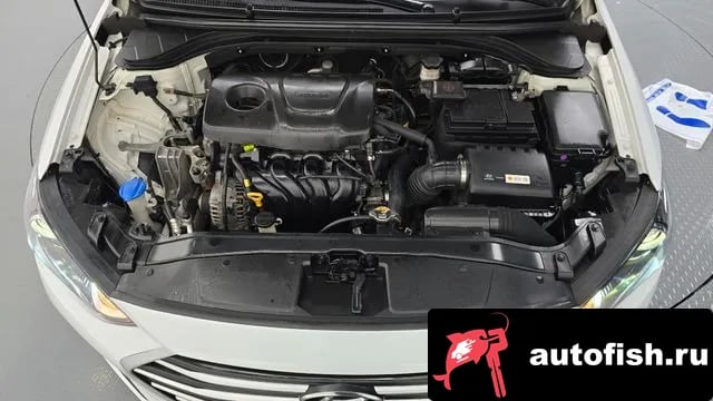 Hyundai AVANTE Avante AD 2018 года - вид 6