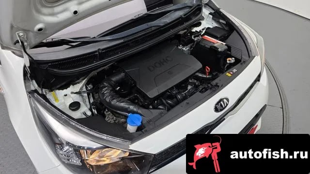 Kia morning All New Morning (JA) 2019 года - вид 6