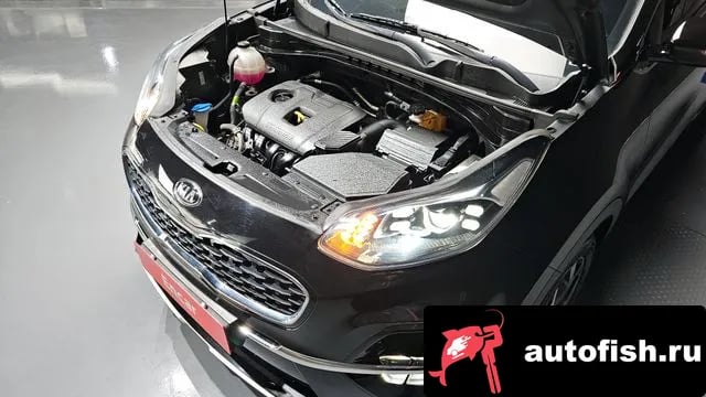 Kia Sportage Sportage The Bold 2020 года - вид 6