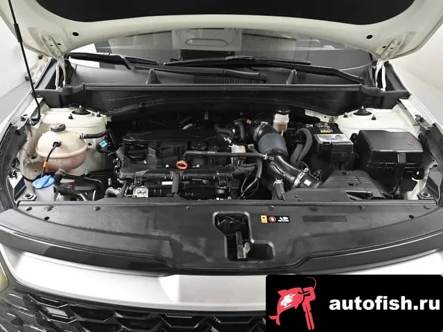 Kia Sportage Sportage 5th Generation 2022 года - вид 6