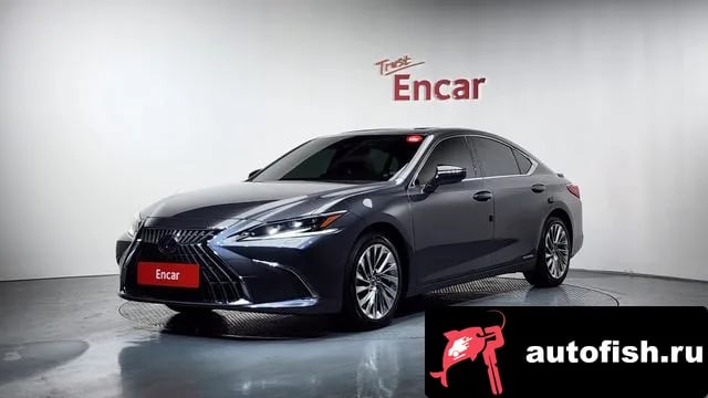 Lexus ES ES300h 7th generation 2022 года - вид 1
