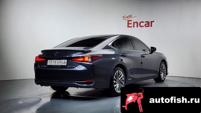 Lexus ES ES300h 7th generation 2022 года - вид 2