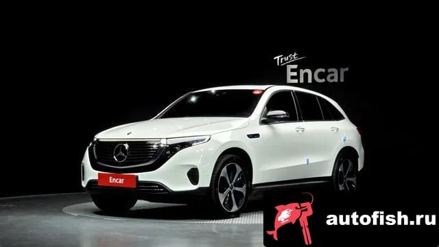 Mercedes-Benz EQC EQC N293 2020 года - вид 1