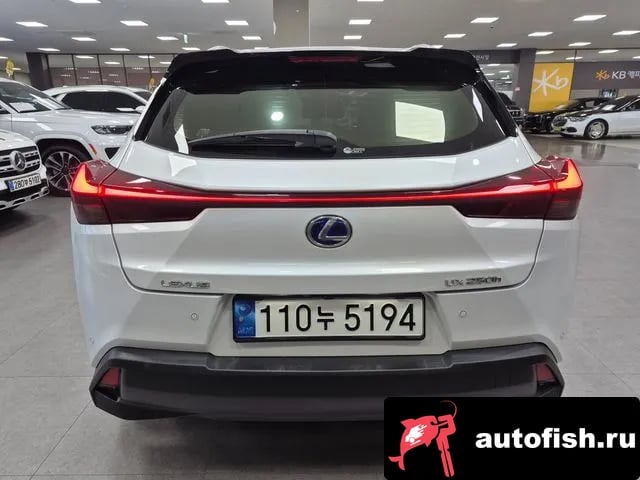 Lexus UX UX250h 2021 года - вид 4