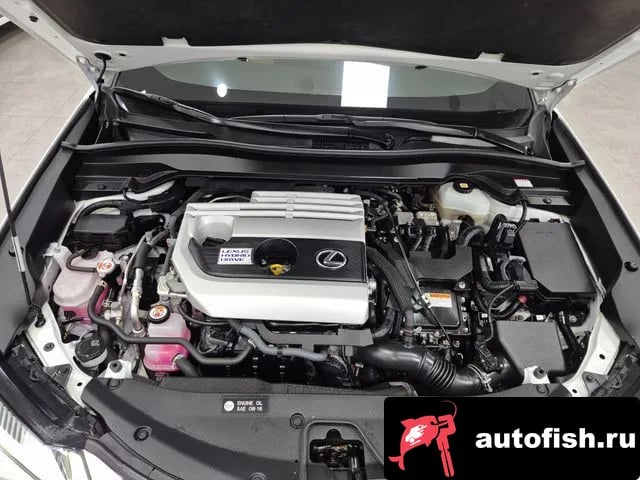 Lexus UX UX250h 2021 года - вид 6