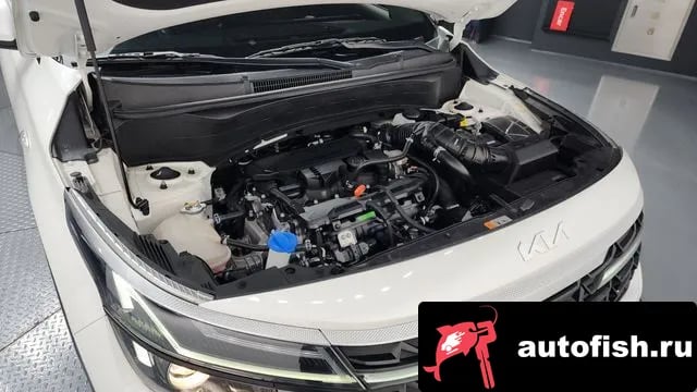 Kia Seltos The New Celtos 2024 года - вид 6