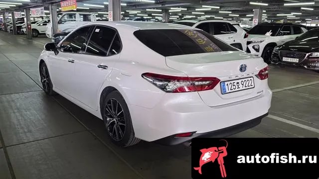 Toyota Camry Camry (XV70) 2023 года - вид 2