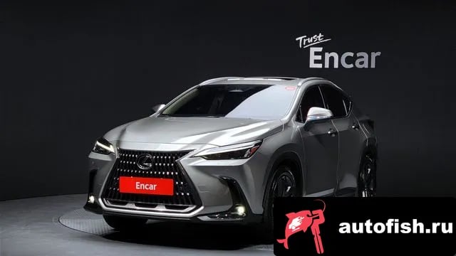 Lexus NX NX350h Second generation 2024 года - автомобиль из Южной Кореи