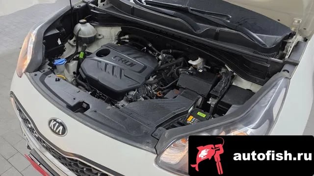 Kia Sportage Sportage The Bold 2020 года - похожие автомобили