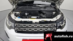 Миниатюра 6