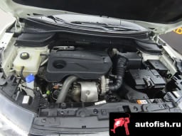 Миниатюра 6