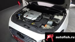 Миниатюра 6