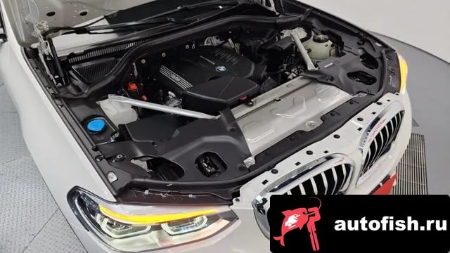 BMW X4 X4 (G02) 2020 года - вид 6