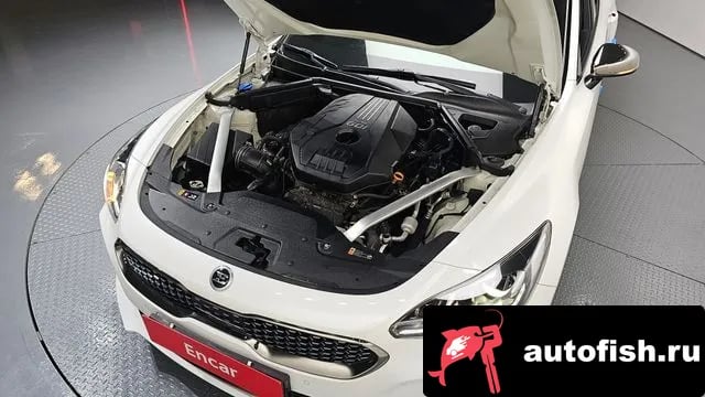 Kia Stinger Stinger 2020 года - вид 6