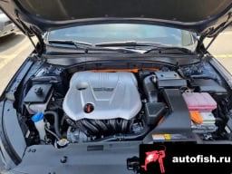 Миниатюра 6